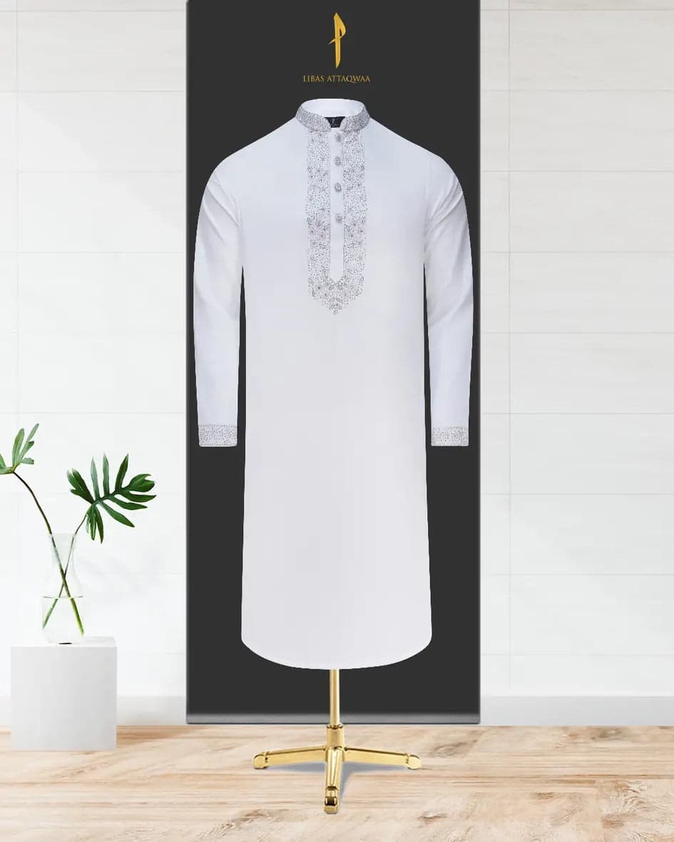 Special Panjabi - 253003