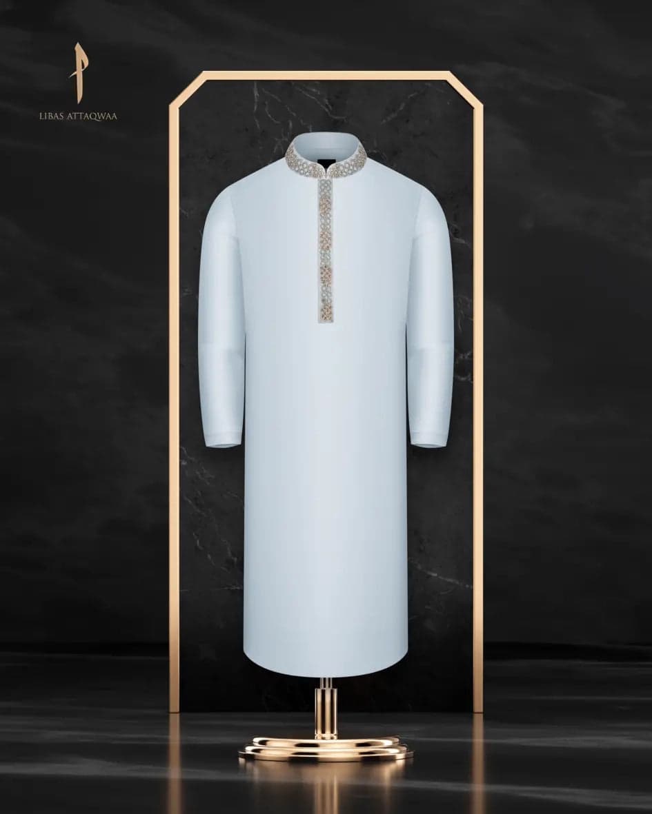 Special Panjabi - 253059