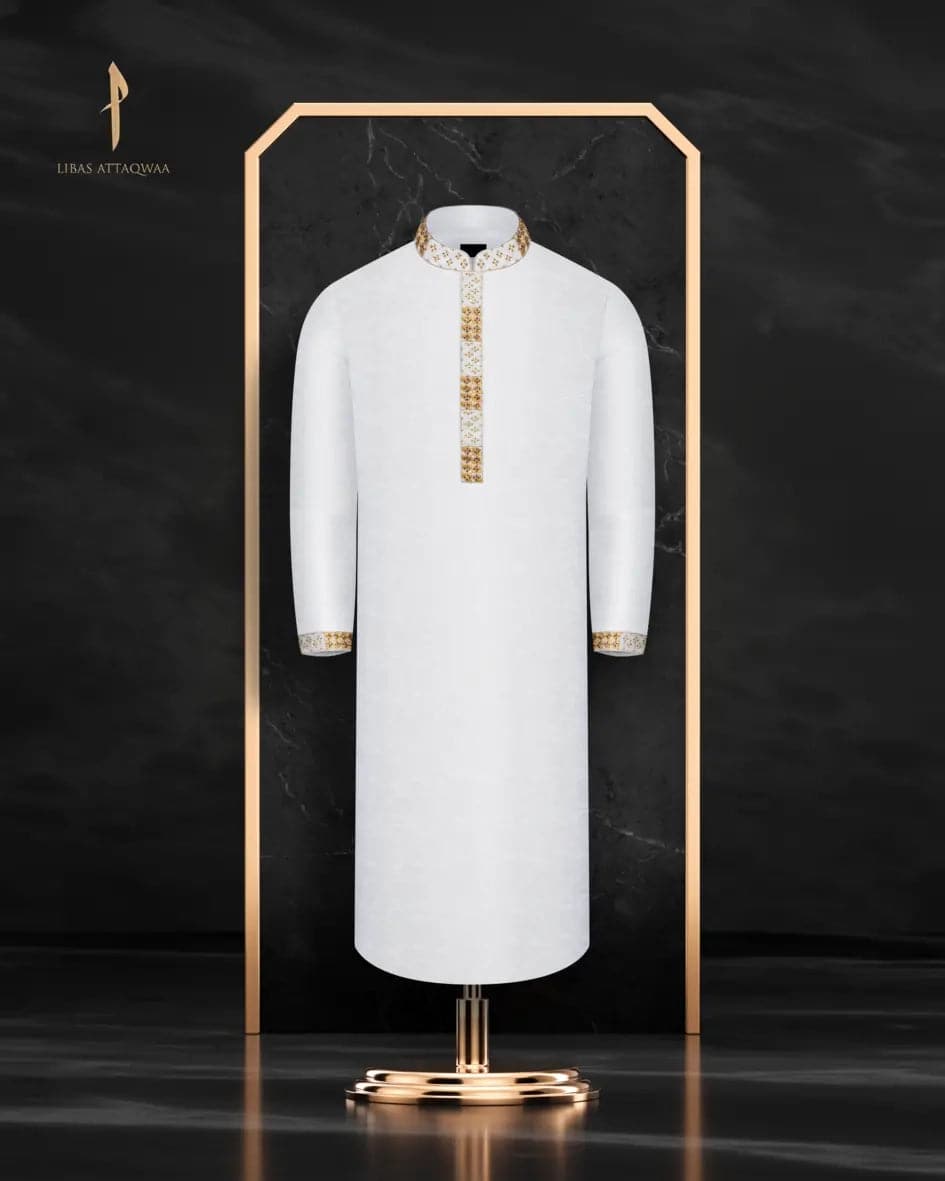 Special Panjabi by ALIF, festive collection