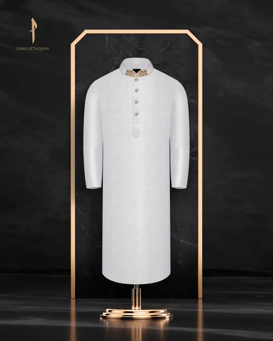 Special Panjabi by ALIF, festive collection