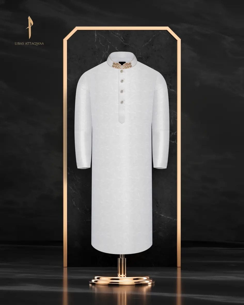 Special Panjabi by ALIF, festive collection