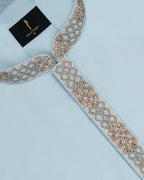 Special Panjabi - 253059