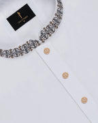 Superior Panjabi - 262011